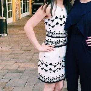 JCrew Fit and Flare Dress